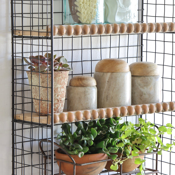 Hang it Up Ledge Shelf with Hooks, Holistic Habitat