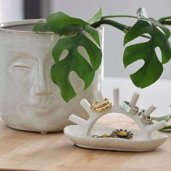 5 Cute Planters You Need In Your Home | Holistic Habitat