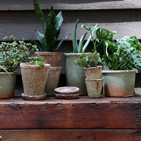 A hori hori rests on a table, ready to dig up herbs for your indoor herb garden