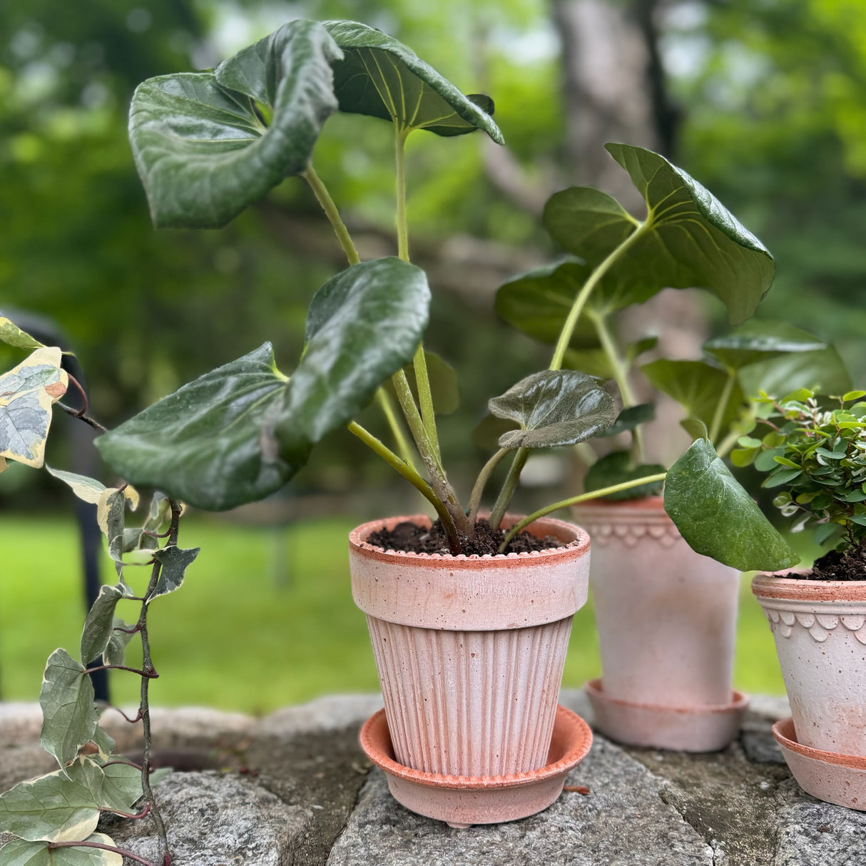 Simona Raw Terracotta Planter