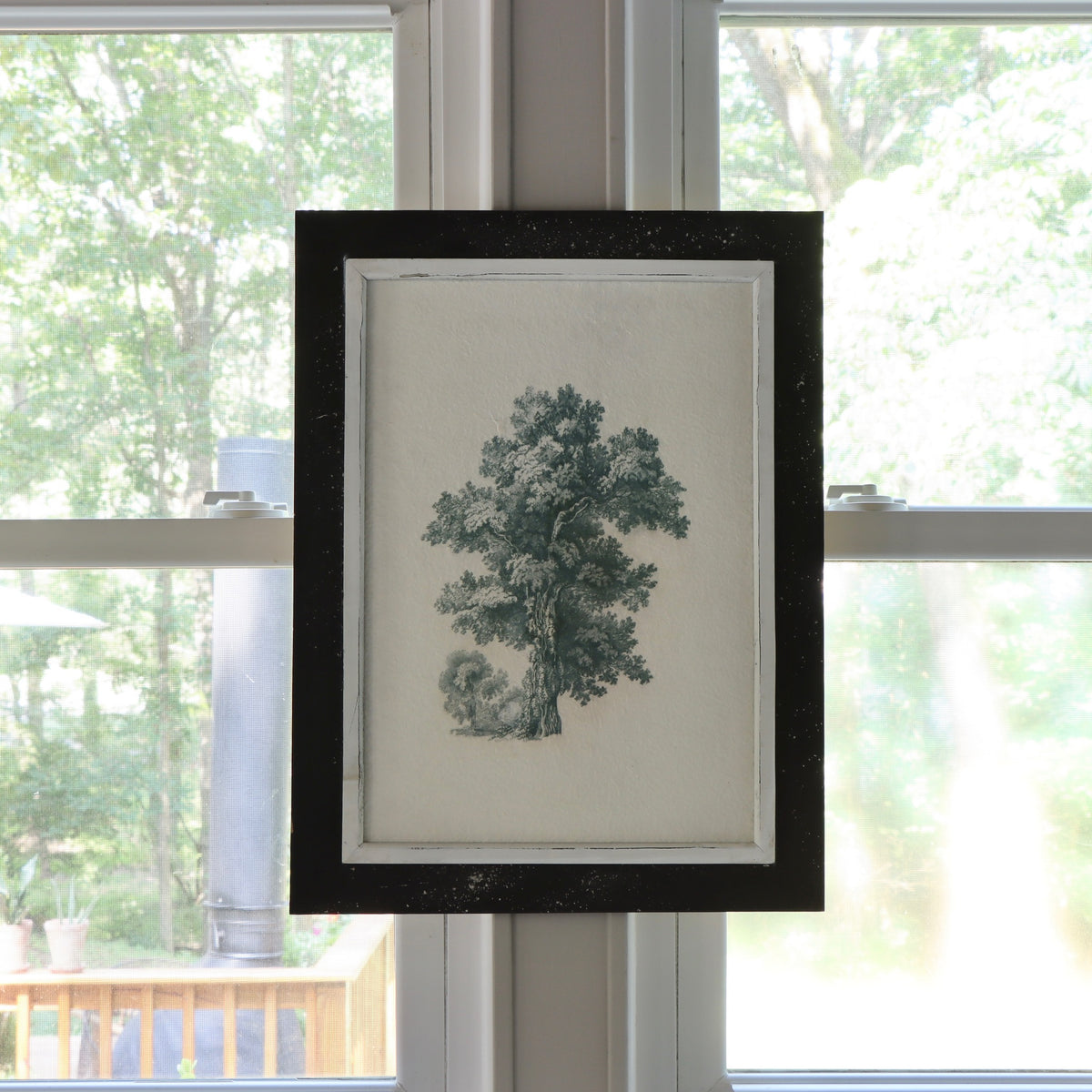 English Oak Framed Print - Holistic Habitat 
