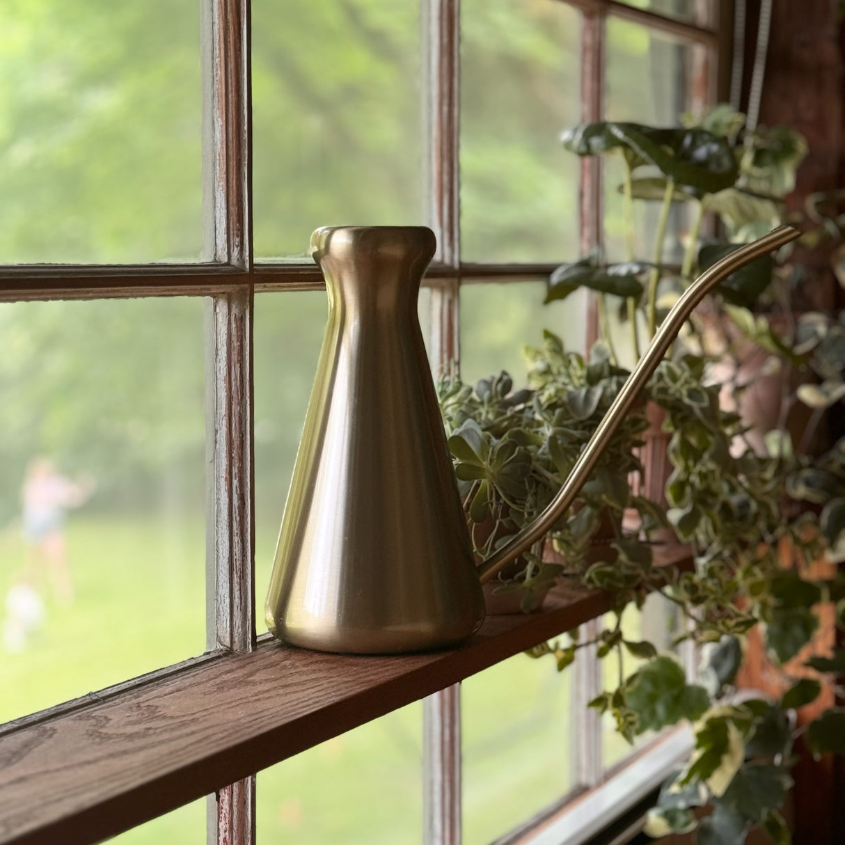 Everly Brass Finish Watering Can