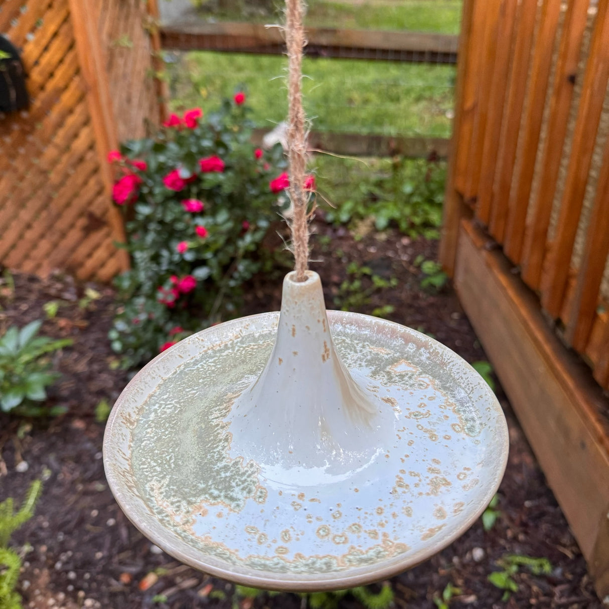 Bird Watching Stoneware Bird Feeder - Holistic Habitat 