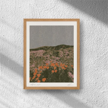California Poppies Print - Holistic Habitat 