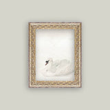 Swan Framed Antique Art: Mini