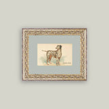 Dalmation Framed Antique Art: 8x10