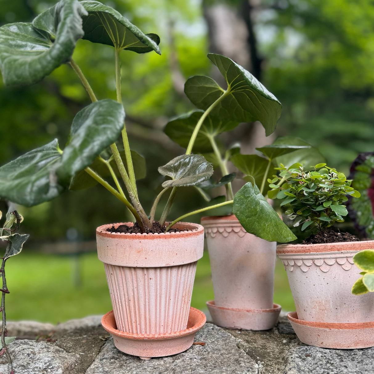 Simona Raw Terracotta Planter