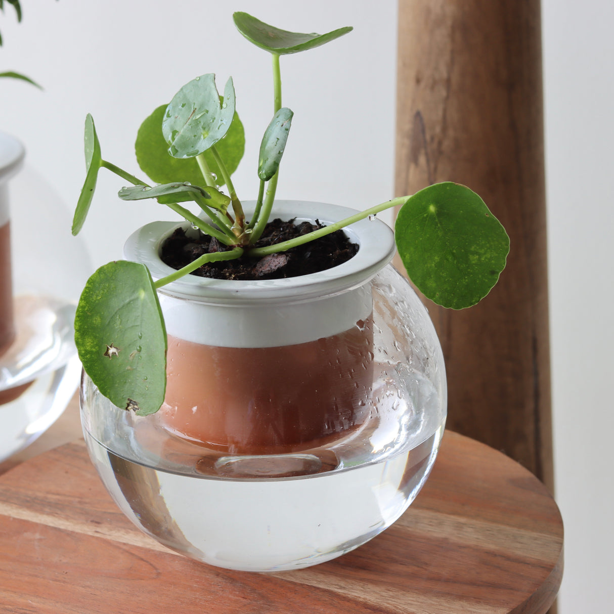 Blakely Self Watering Planter - Small - Holistic Habitat 