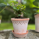 Københavner Raw Terracotta 3.5" Planter