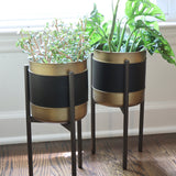 Vegan Leather and Gold Plant Stand - Small - Set of 2 - Holistic Habitat 