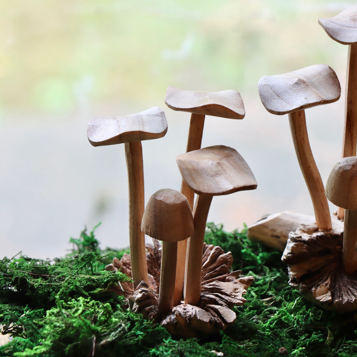 Hand Carved Small Wooden Mushroom Forest - Holistic Habitat 