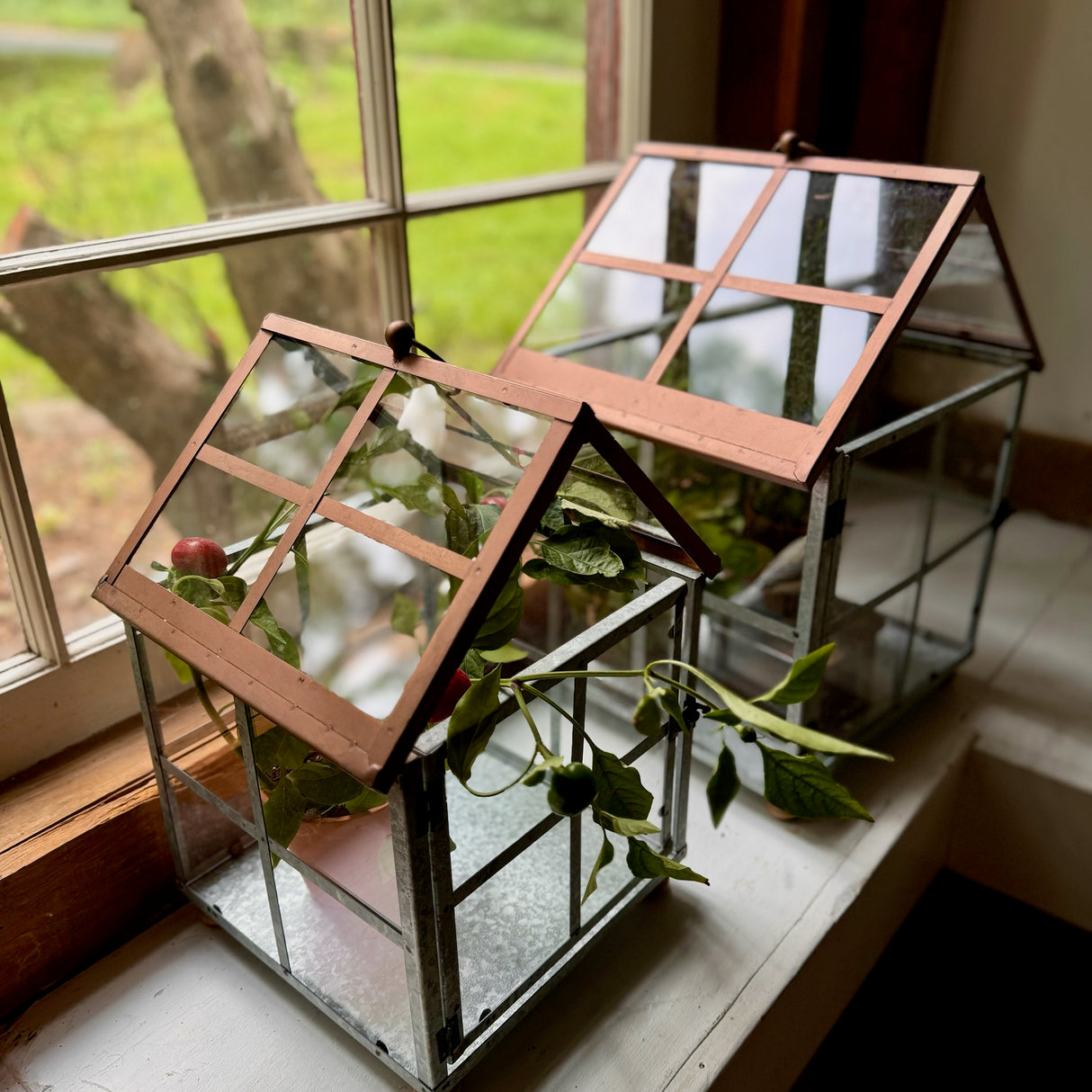 Copper & Galvanized Greenhouse Terrarium Set