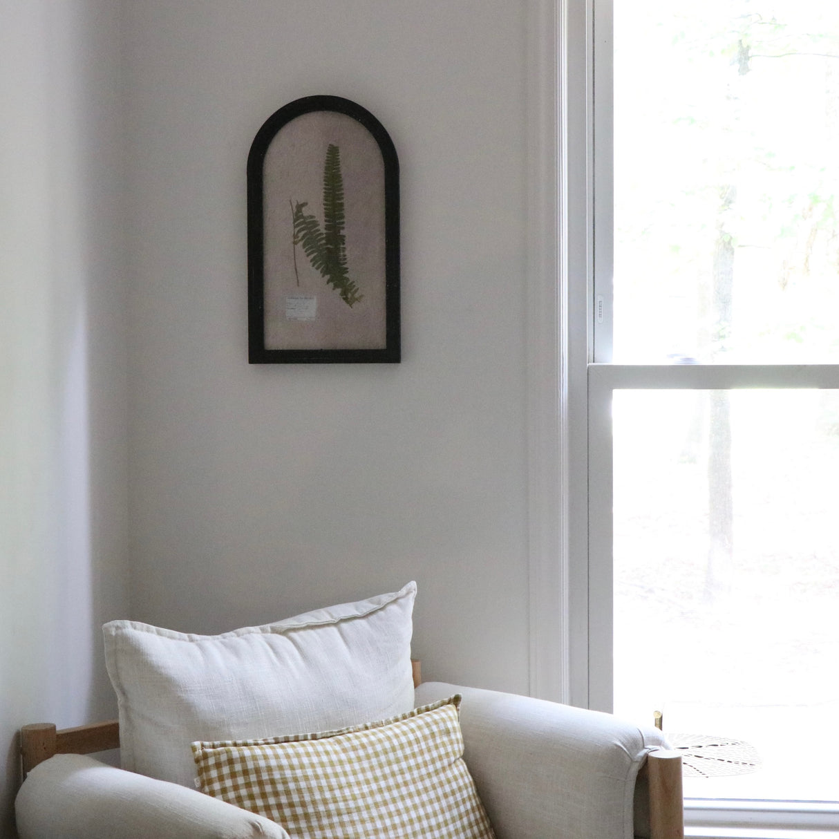 Boston Fern Pressed Dried Botanical Art