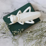 Greta Ivory Stoneware Grasshopper - Holistic Habitat 