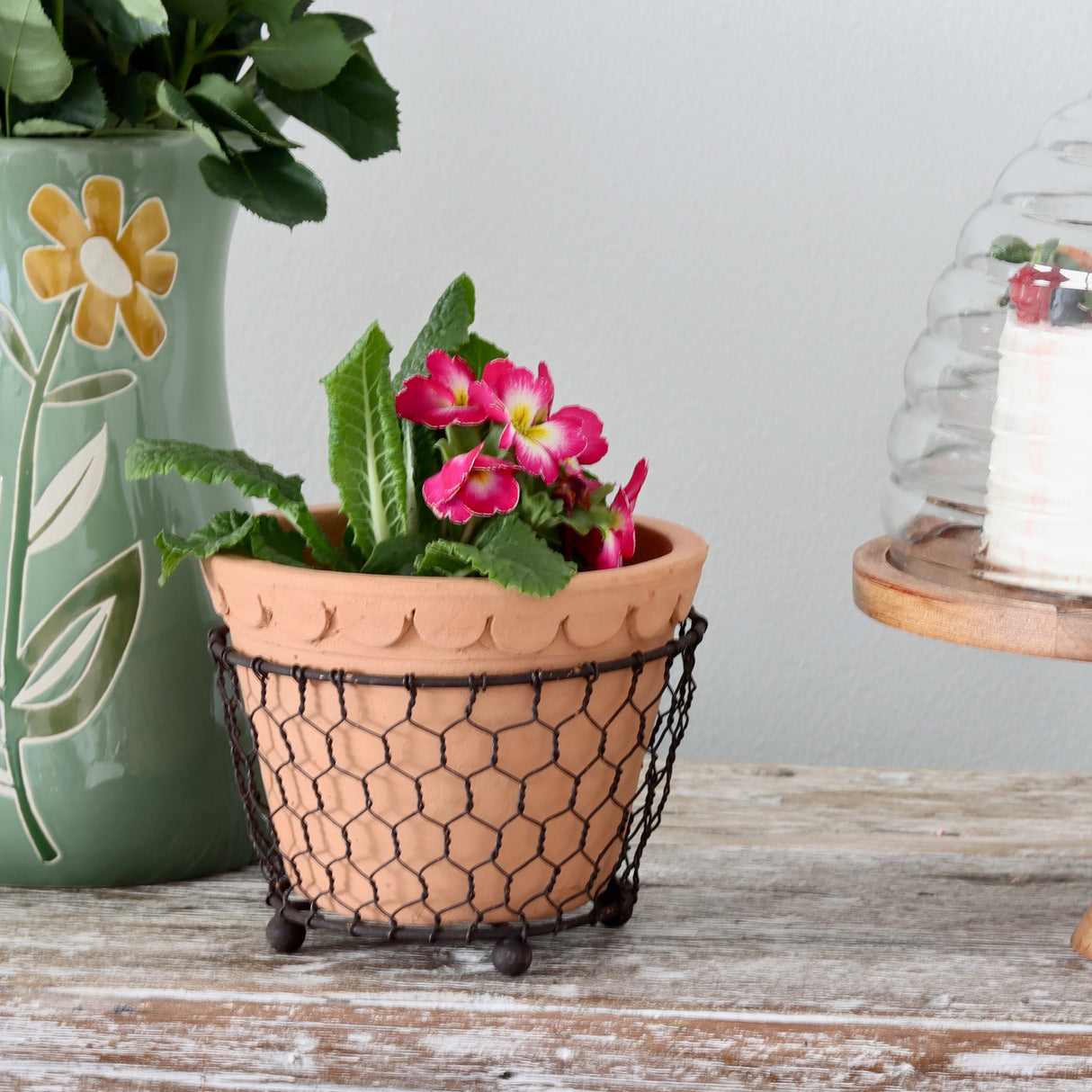 Scalloped Terracotta Pot with Caddy - Holistic Habitat 