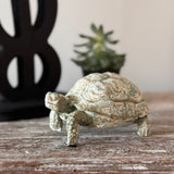 Buster Turtle Distressed Resin Figurine - Holistic Habitat 