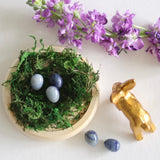 Blue Aventurine Eggs - Set of 5 - Holistic Habitat 