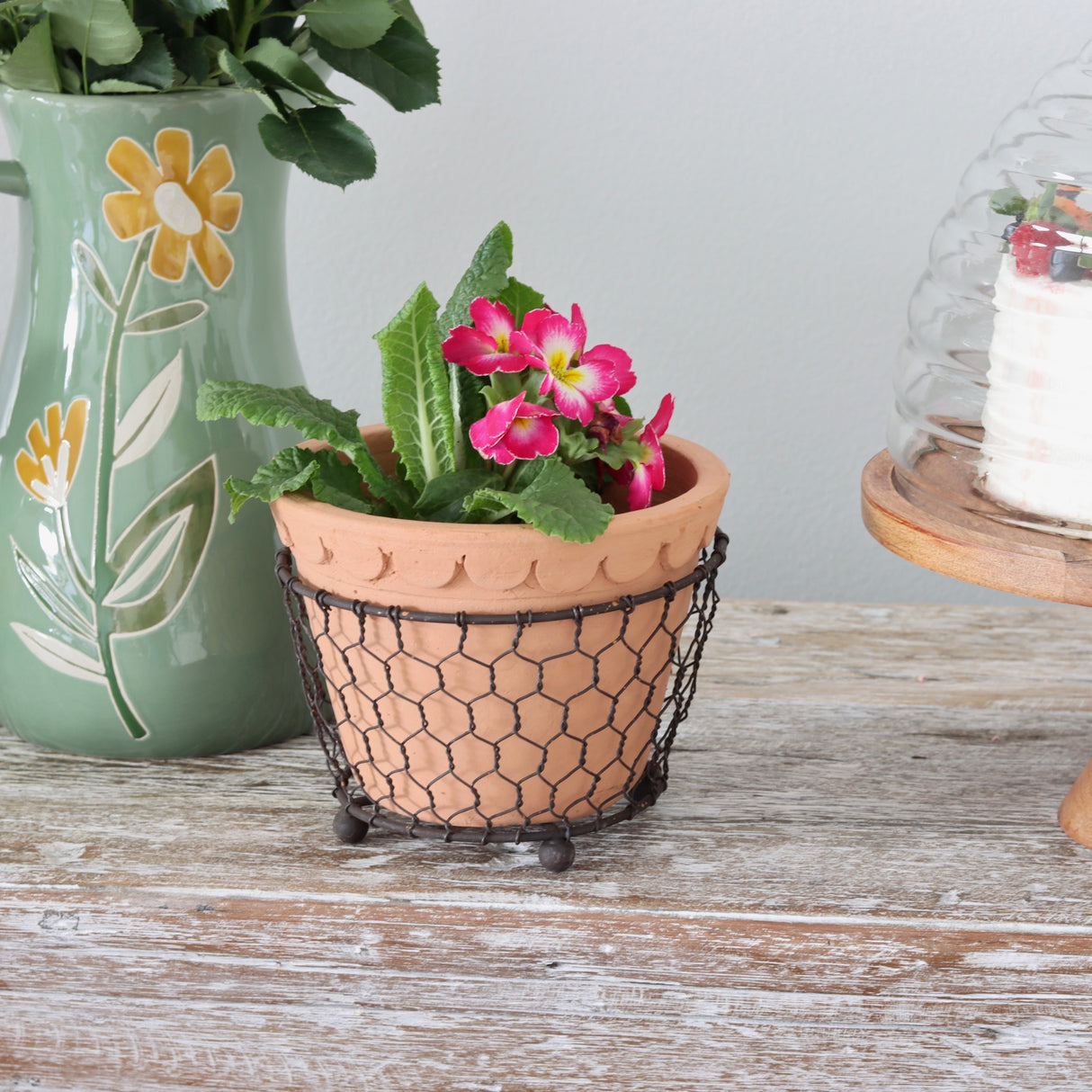 Scalloped Terracotta Pot with Caddy - Holistic Habitat 