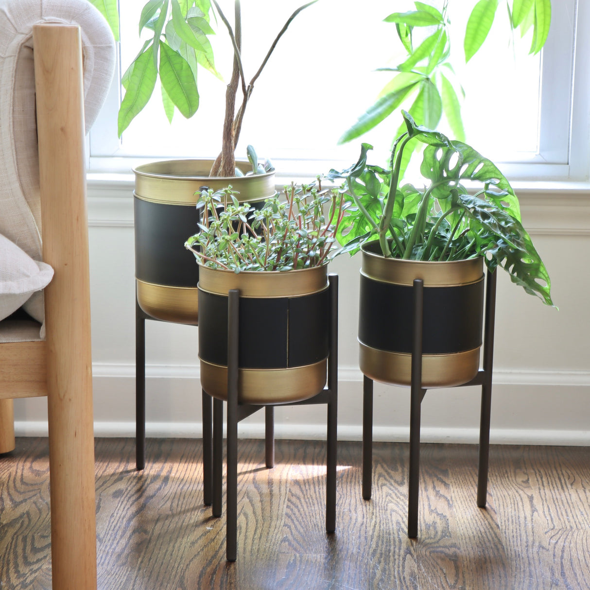 Vegan Leather and Gold Plant Stand - Small - Set of 2 - Holistic Habitat 