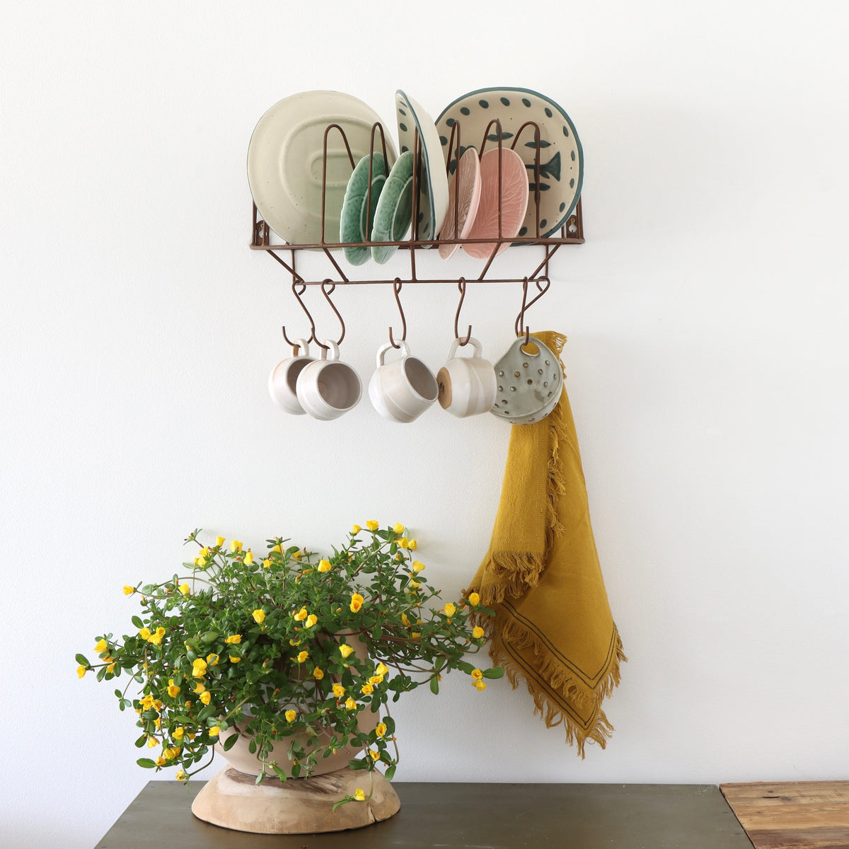 Hang it Up Ledge Shelf with Hooks, Holistic Habitat