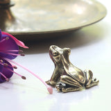 Mini Brass Frog - Holistic Habitat 