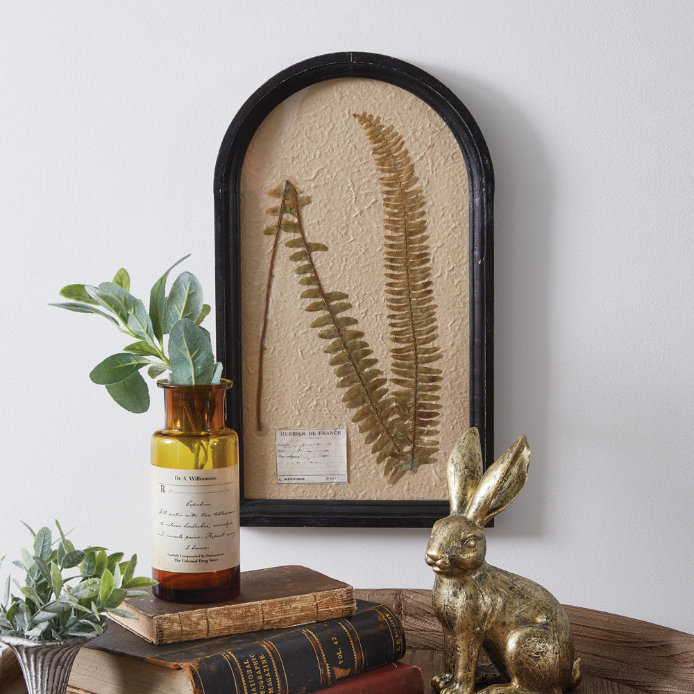 Boston Fern Pressed Dried Botanical Art