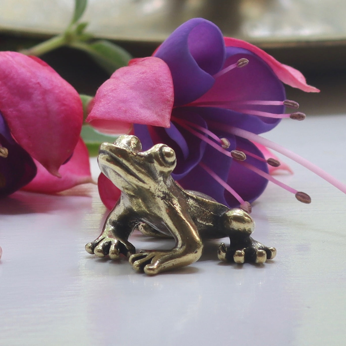Mini Brass Frog - Holistic Habitat 