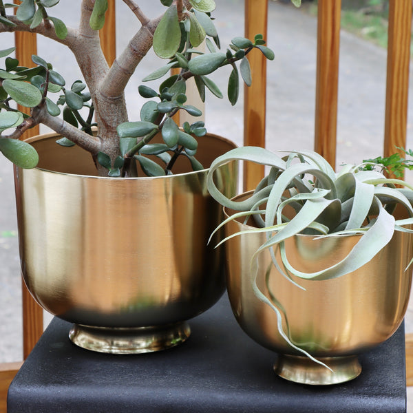 Oro Gold Metal Planters - Set of 3 | Holistic Habitat