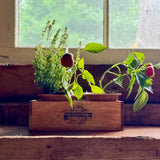 Wooden Crate & Terracotta Herb Caddy