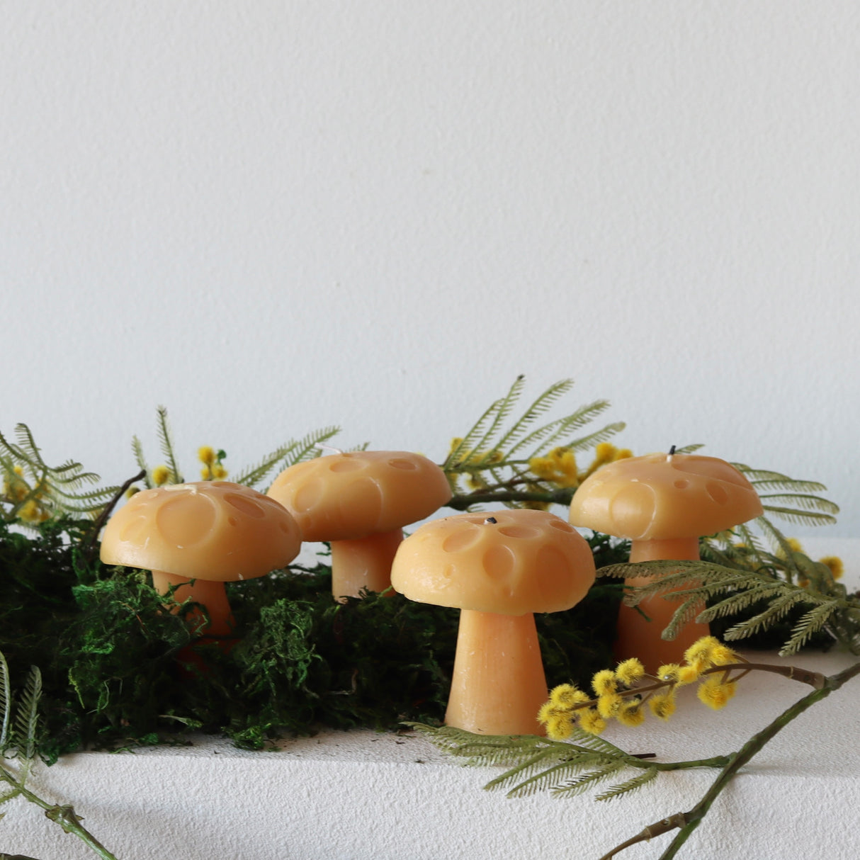 Spice Mushroom Candles - Set of 4 - Holistic Habitat 