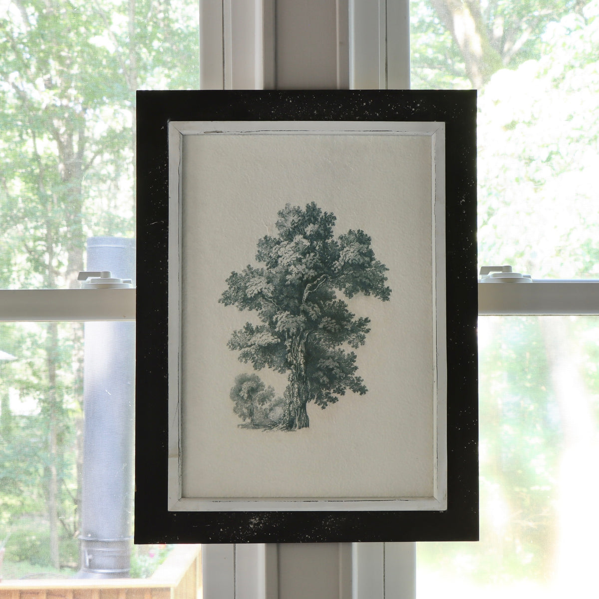 English Oak Framed Print - Holistic Habitat 