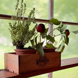 Wooden Crate & Terracotta Herb Caddy