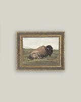 Resting Bison Framed Antique Art: 7x5