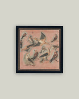 Pink Birds Framed Antique Art: 9x9