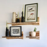 Acacia Wood Floating Shelves - Set of 3