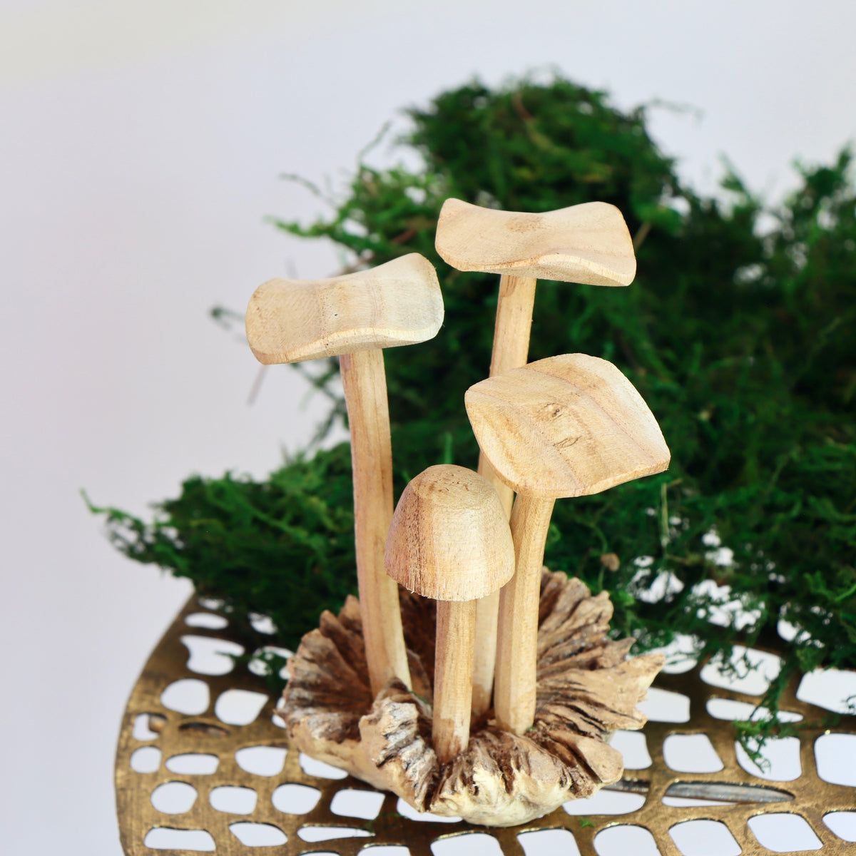 Hand Carved Small Wooden Mushroom Forest - Holistic Habitat 