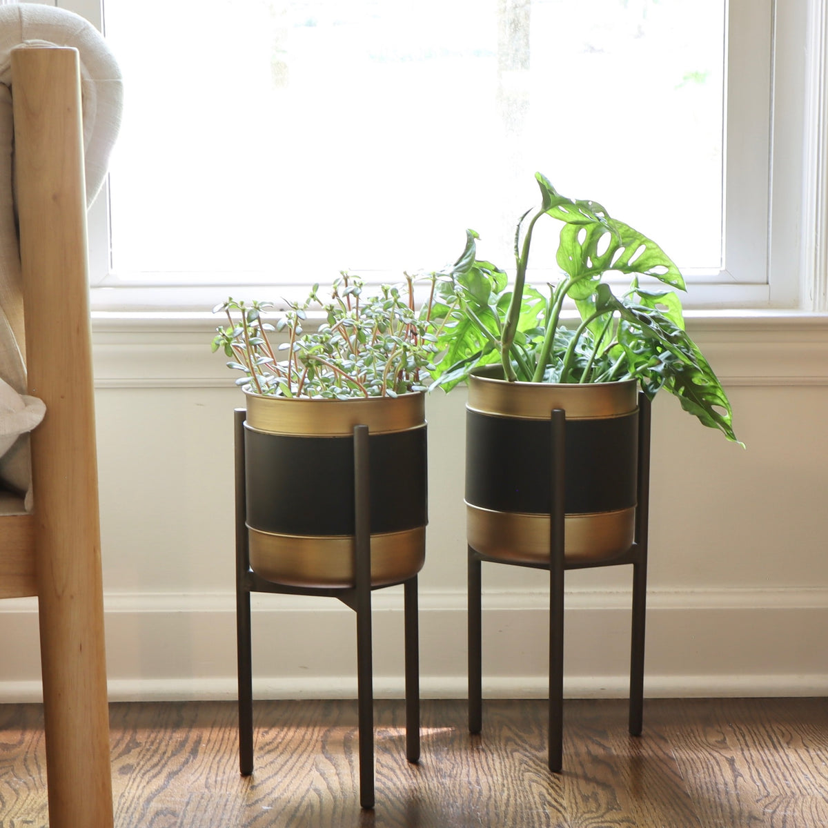 Vegan Leather and Gold Plant Stand - Small - Set of 2 - Holistic Habitat 