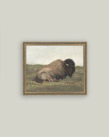 Resting Bison Framed Antique Art: 7x5