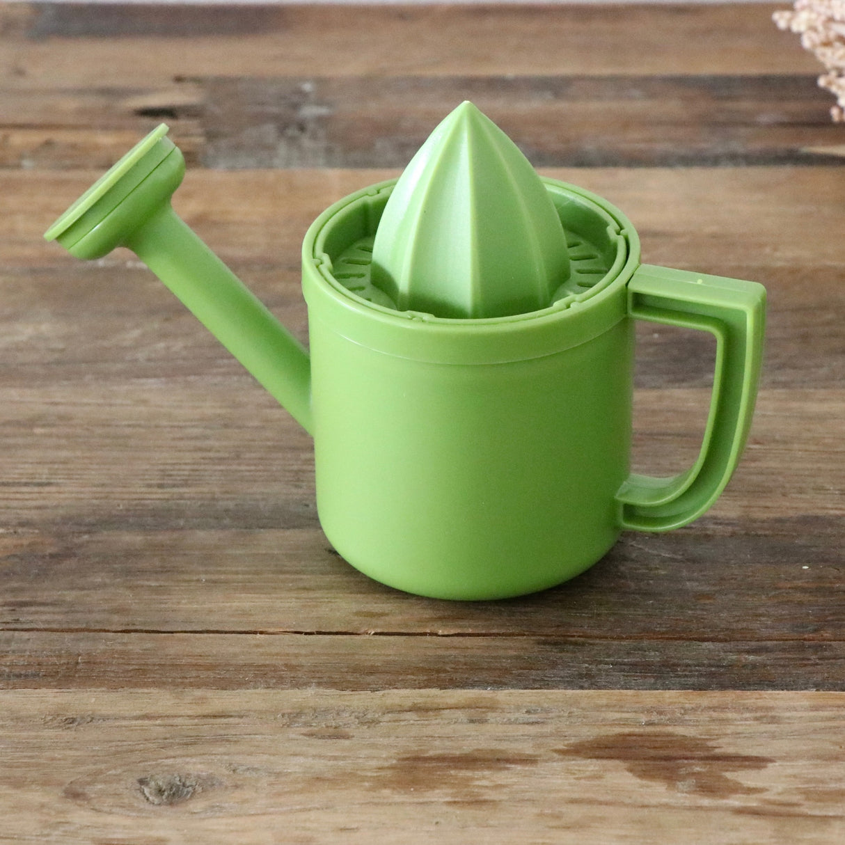 Citron Watering Can Juicer