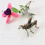 Mini Brass Grasshopper - Holistic Habitat 