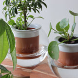 Blakely Self Watering Planter - Medium - Holistic Habitat 