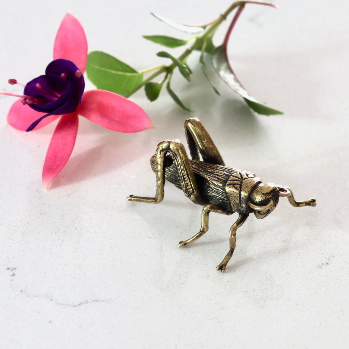 Mini Brass Grasshopper - Holistic Habitat 