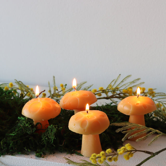 Spice Mushroom Candles - Set of 4 - Holistic Habitat 