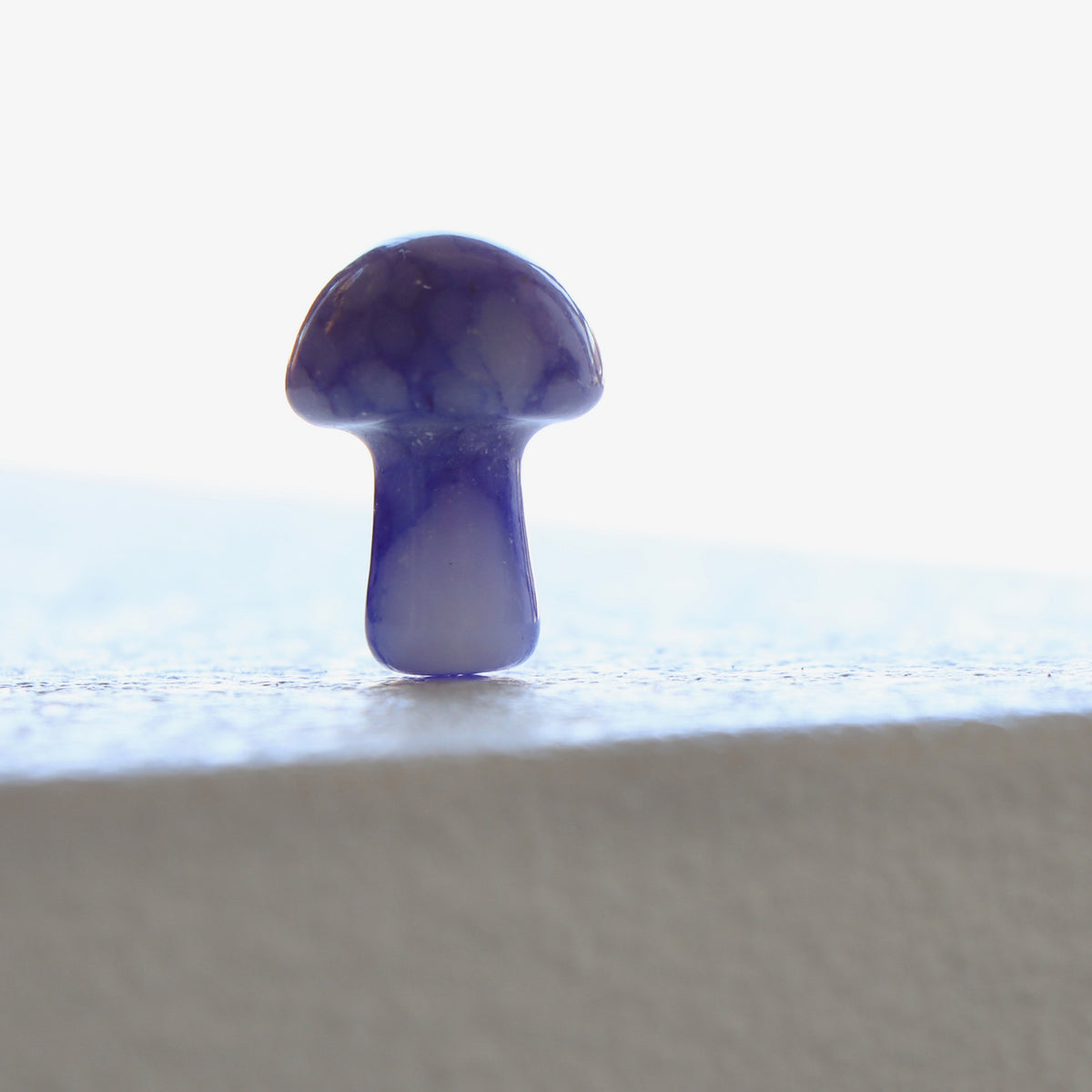 Blue Striped Turquoise Mushroom - Holistic Habitat 