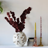 Aubergine Dried Natural Eucalyptus Bunch - Holistic Habitat 