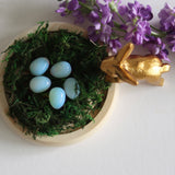 Opalite Eggs - Set of 5 - Holistic Habitat 