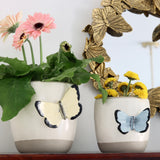 Periwinkle Flutterby Planter - Holistic Habitat 