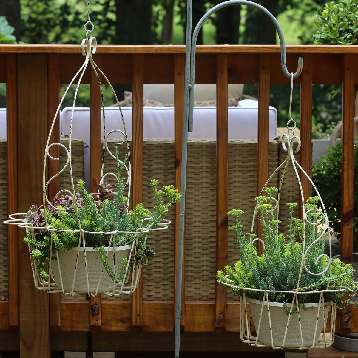 Juliette Chippy Iron Plant Basket Set - Holistic Habitat 
