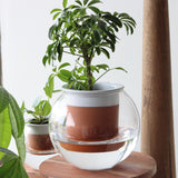 Blakely Self Watering Planter - Medium - Holistic Habitat 