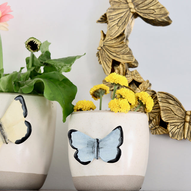 Periwinkle Flutterby Planter - Holistic Habitat 